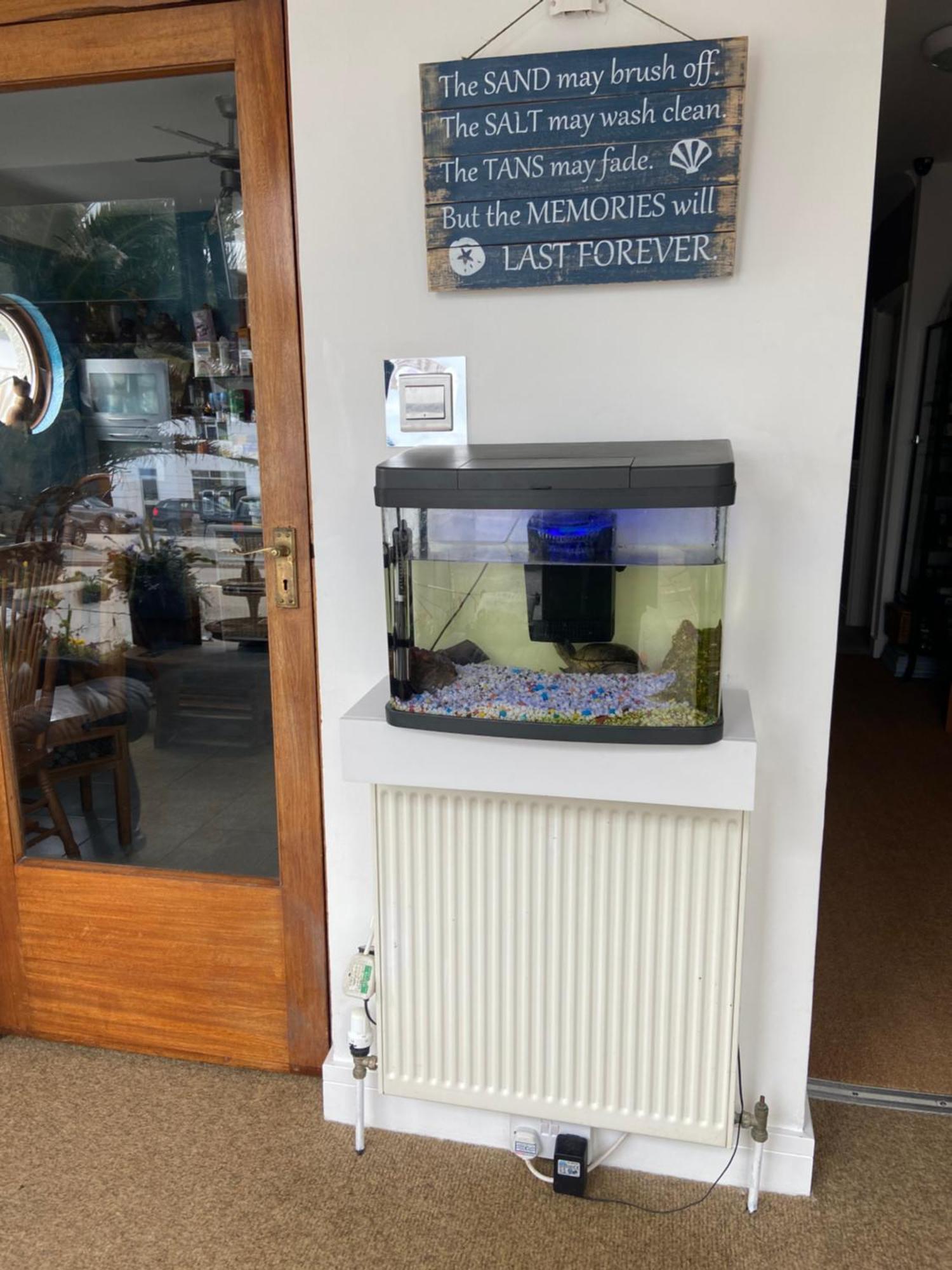 Aquarius B&B New Quay Εξωτερικό φωτογραφία
